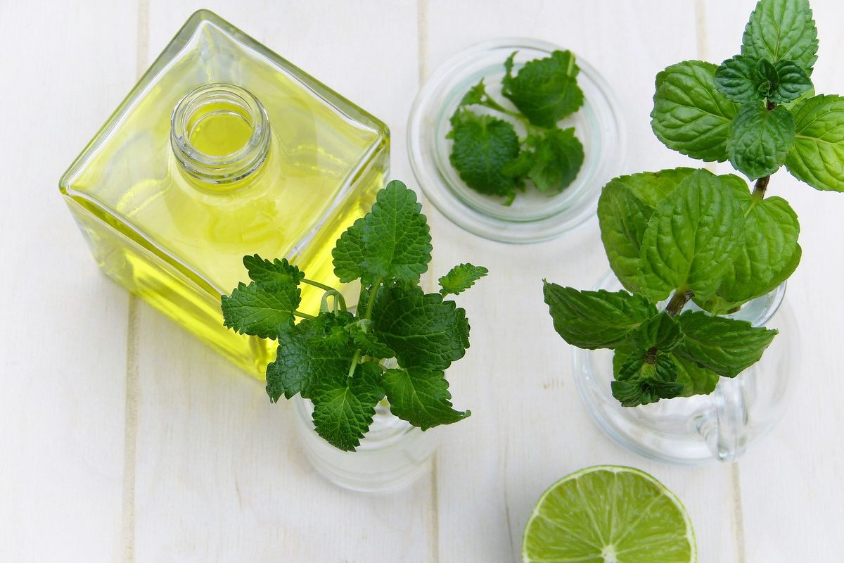 Daun mint