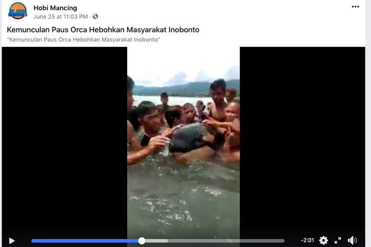Tangkapan layar video Paus Orca dibawa oleh warga