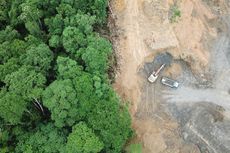 Banjir Kritik Komisi IV ke Menteri LHK Siti Nurbaya soal Banjir Sintang dan Kerusakan Hutan