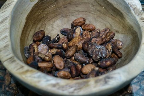 Kalimantan Timur Jadi Juara Lomba Biji Kakao Nasional