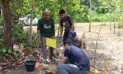 Belantara Foundation Gandeng Perusahaan Jepang Tanam Pohon di Hutan Riau
