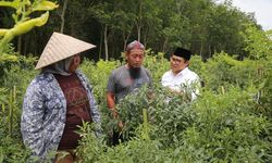 Gus Muhaimin Sebut Negara Harus Hadir Bantu Petani Atasi Kelangkaan Pupuk
