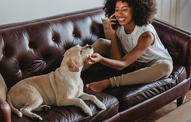 Mengapa Anjing Bisa Begitu Akrab dengan Manusia? Halaman all ...