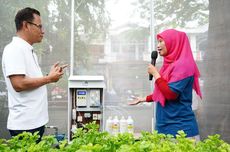 Ubah Penampungan Sampah Jadi "Smart Farming", Kelompok Wanita Tani Binaan PLN Raup Rp 125 Juta Per Bulan