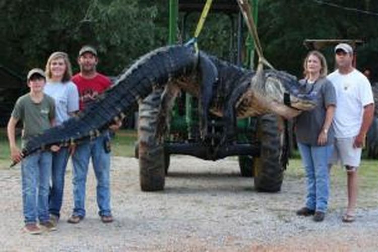 Mandy Stokes dan keluarganya dengan bangga memamerkan seekor buaya besar yang berhasil mereka tangkap di Sungai Alabama.