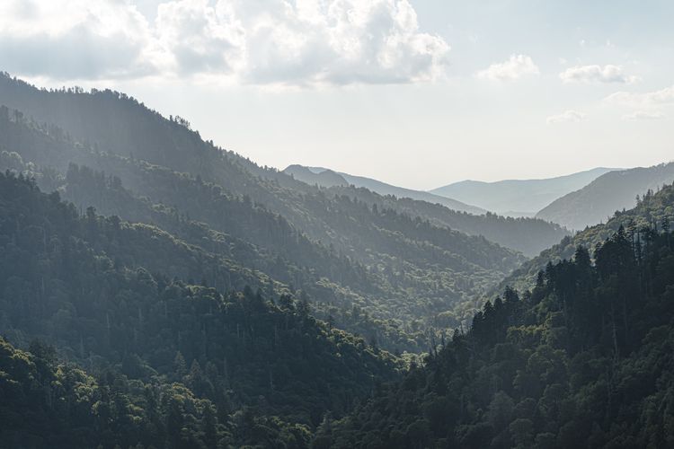 Great Smoky Mountains, taman nasional terpopuler di Amerika Serikat, mengalahkan Grand Canyon.