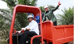 Apresiasi Upaya Peremajaan Sawit Herman Deru, Mentan SYL: Sawit Lebih Berharga dari Emas