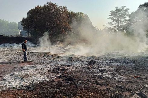 2 Hektar Lahan di Purwakarta Kebakaran, Berawal dari Bakar Sampah