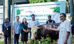 Berbagi Manfaat Saat Idul Adha, Antam Salurkan 238 Hewan Kurban untuk Masyarakat