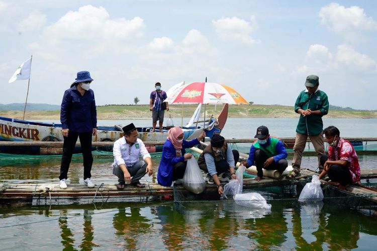 Kementerian Kelautan dan Perikanan menggelar Pelatihan Budidaya Ikan Mas Majalaya di Kabupaten Bandung beberapa waktu lalu.