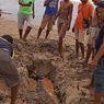 Warga Temukan Bangkai Paus Pembunuh Kerdil Terdampar di Pantai, Awalnya Dikira Lumba-lumba