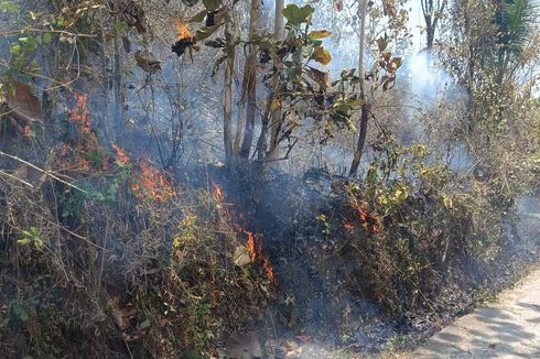 Lahan Seluas 3 Hektar di Bukit Menoreh Terbakar