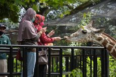 Pengadilan Putuskan Pemkot Bandung Pemilik Lahan Kebun Binatang