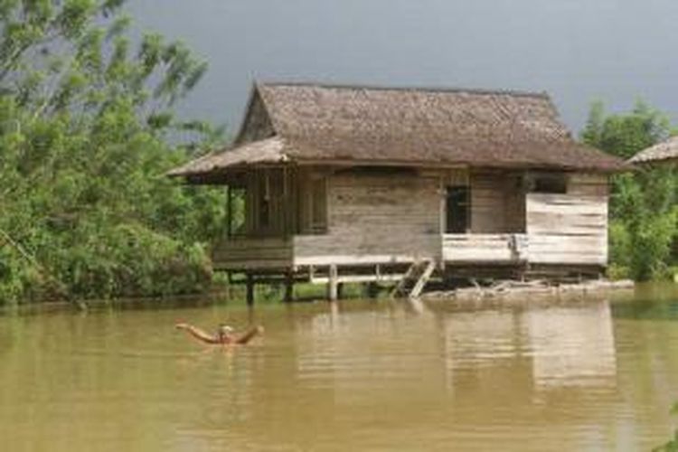 Warga korban banjir di tiga kecamatan di Kabupaten Konawe menolak dievakuasi, dengan alasan khawatir ternaknya dicuri.    