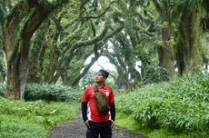 Ingin Foto Keren di De Djawatan Banyuwangi, Wisatawan Bisa Sewa Fotografer Murah