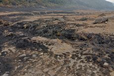 Gunung Gede Pangrango Diduga Sengaja Dibakar