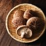 9 Manfaat Jamur bagi Kesehatan, Cek!