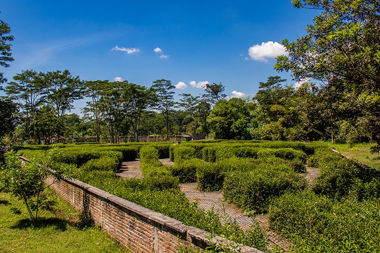 Taman labirin di Kebun Raya Indrokilo, Boyolali.