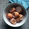5 Manfaat Cangkang Telur untuk Tanaman dan Cara Menggunakannya