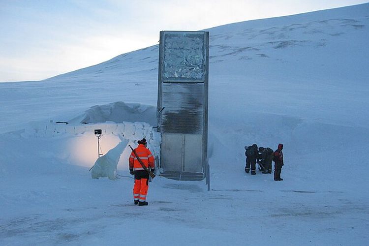 Ribuan Benih Tanaman Disetorkan ke Svalbard, Brankas 