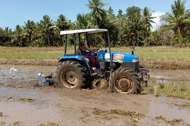 Salah satu alat mesin pertanian (Alsintan) traktor kini dapat disewa di UPJA, brigade Alsintan, hingga KUB.