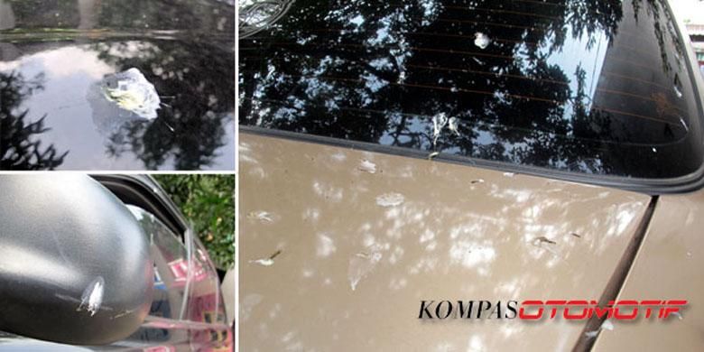 Kotoran burung sangat berbahaya untuk cat mobil jika dibiarkan mengering. 