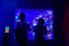 Wahana Oceanarium BXSea Bintaro Resmi Dibuka, Ketemu Biota Laut di Mal
