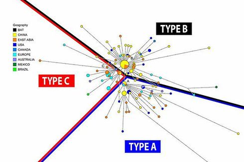 Peneliti Temukan 3 Varian Virus Corona Penyebab Covid-19, Apa Saja?