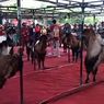Melihat Kontes Kambing Jerabang di Tulungagung, Apa Uniknya?