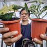 Tanaman Hias Petani Muda di Bandung Barat Tembus Pasar Amerika dan Eropa
