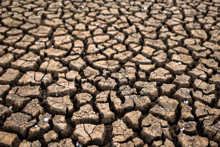 Kemarau Panjang, 7 Wilayah Sumsel Berstatus Awas