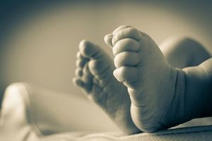 Bukan Dibuang, Ternyata Ini Fakta di Balik Penemuan Bayi Dekat Kandang Sapi di Situbondo