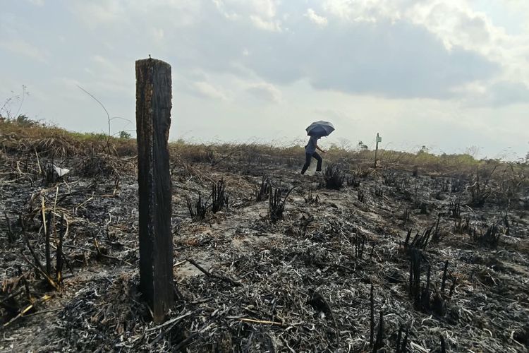 Lahan 20,5 Hektar di Samarinda Terbakar, Api Sempat Berjarak 50 Meter dari Permukiman