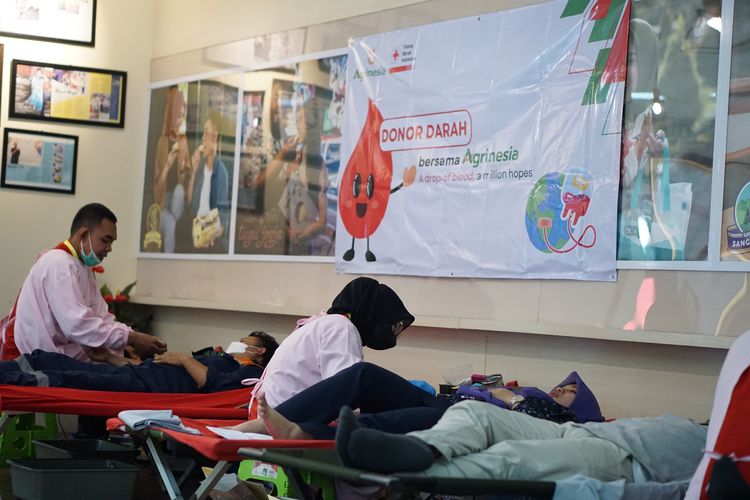 PT Agrinesia Raya (Agrinesia) bekerja sama dengan PMI Kabupaten Bogor menggelar kegiatan donor darah melalui program SMILE pada Selasa, 18 Juli 2023 di Agrinesia Sentul, Kab. Bogor, Jawa Barat.