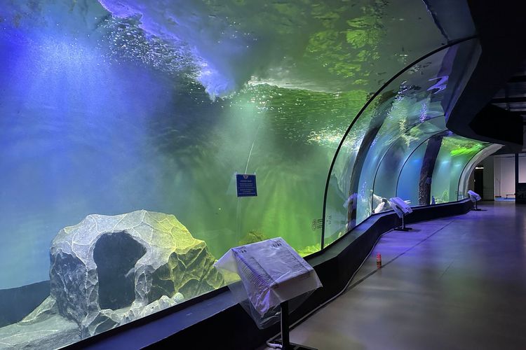 Aquarium Indonesia Pangandaran