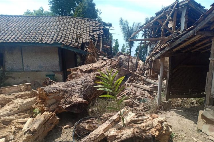 Pohon randu berumur ratusan tahun tumbang dan menimpa dua rumah milik warga di Rancakalong, Sumedang, Jawa Barat, Rabu (7/8/2019). DOK. Polres Sumedang