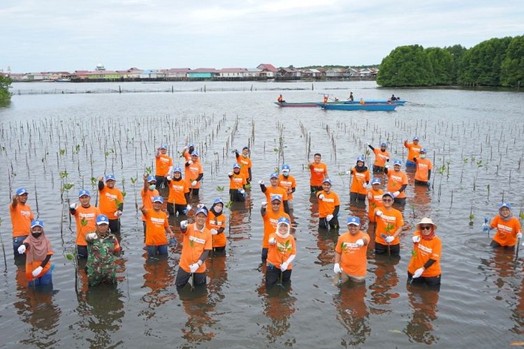 PT Pupuk Kalimantan Timur (PKT) gelar Employee Volunteering Program dengan melibatkan para karyawan dalam kegiatan penanaman 1.500 bibit mangrove, guna mendukung pelestarian ekosistem di perairan Bontang.