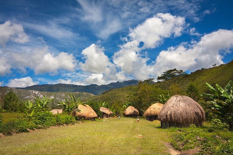 Rumah honai di Papua DOK. Shutterstock/sunsinger