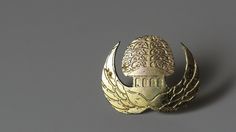 Kemendikbud Buka 16.102 Posisi CPNS 2023, Ini Kriteria dan Syaratnya