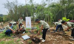 Peduli Krisis Iklim, Sinarmas Land Tanam 1.270 Pohon di Tiga Wilayah