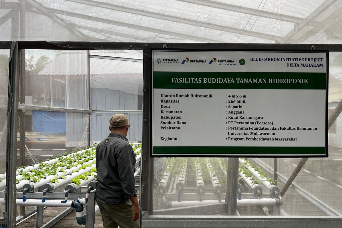 Pertamina Foundation, anak perusahaan PT Pertamina (Persero), terus memperkuat komitmennya dalam pelaksanaan tanggung jawab sosial dan lingkungan (TJSL), salah satunya melalui Hutan Lestari Pertamina. 