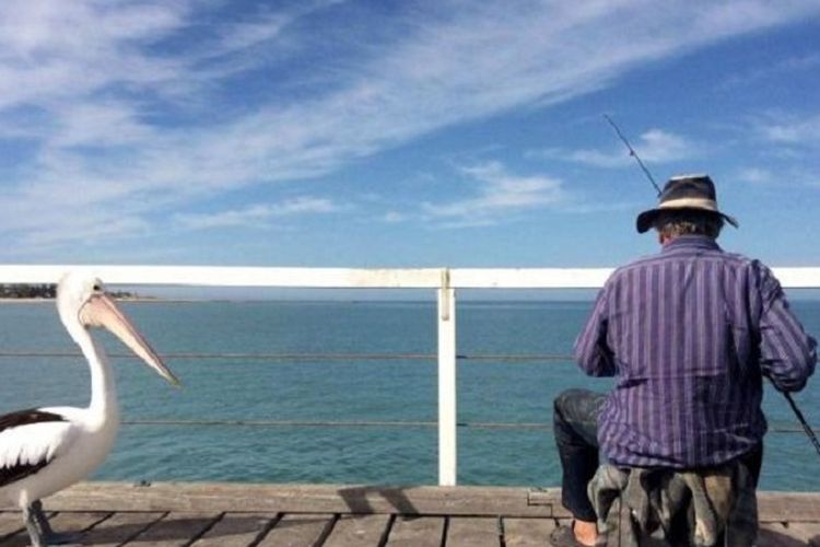 Pria lansia yang sedang sekarat di Australia Barat ingin memancing terakhir kalinya sebelum meninggal. 

