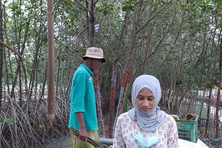 Saat Sururi bersama warga Semarang yang belajar menanam mangrove. Minggu (5/6/2022)