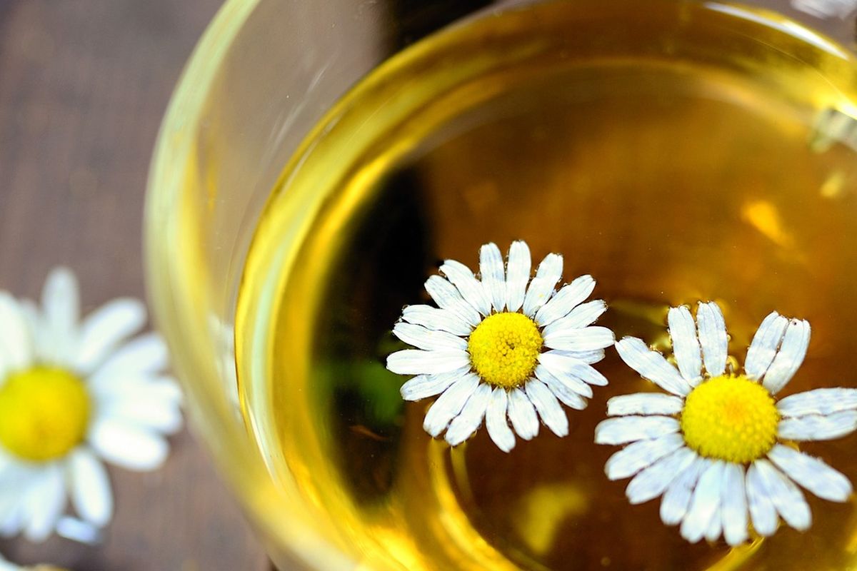 Ilustrasi teh chamomile
