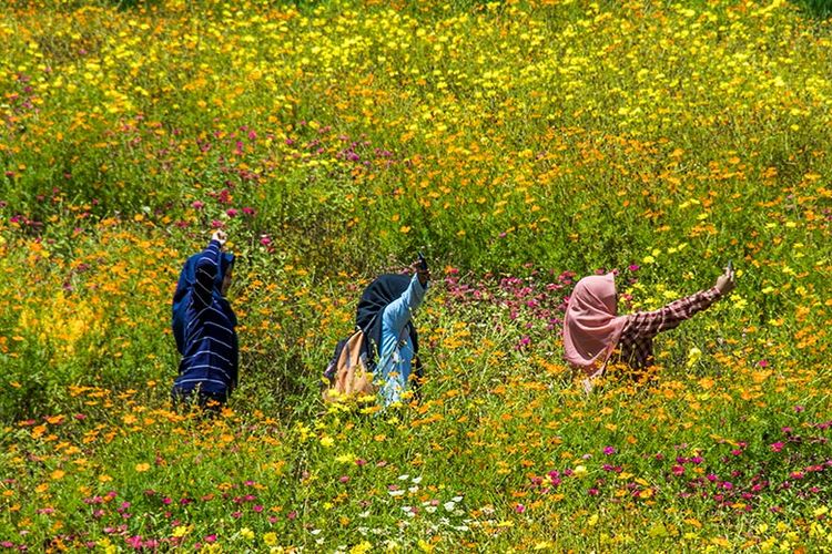 Pengunjung berswafoto di Taman Bunga Telaga Malingan, Gunungkidul (02/02/2019).