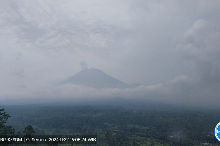 Erupsi Gunung Semeru, Jumat (22/11/2024) sore