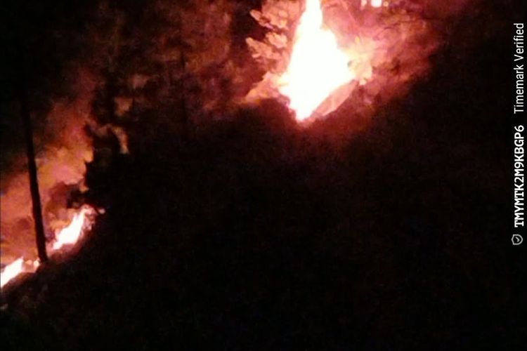 Karhutla Landa Paluta dan Samosir, Total Lahan Terdampak 10 Hektar  