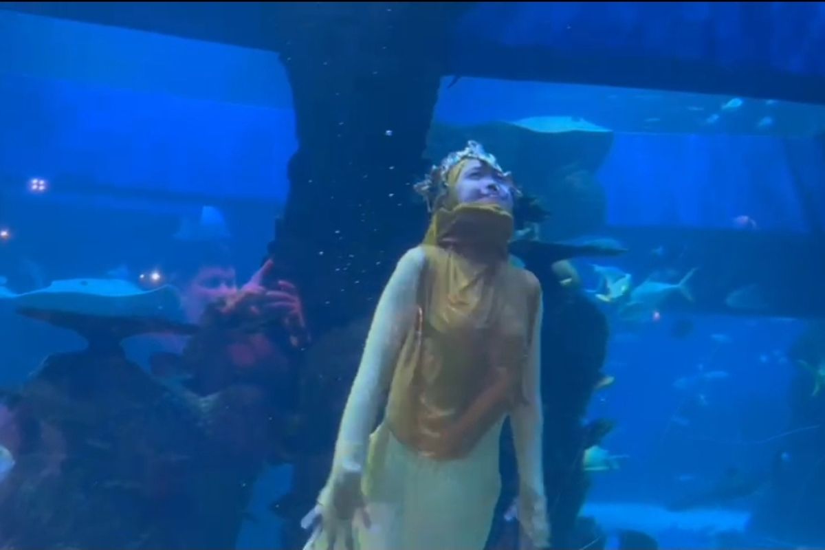 YouTuber Ria Ricis tampil menyelam di Jakarta Aquarium and Safari di Tanjung Duren, Jakarta Barat pada Minggu (4/6/2023).