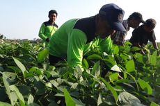 Petani Bisa Klaim PPN