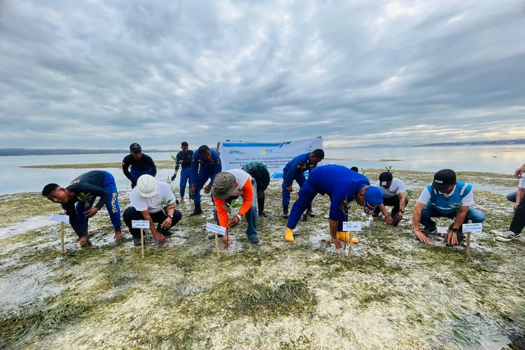 PT Perusahaan Listrik Negara (PLN) Nusantara Power Services Pembangkit Listrik Tenaga Uap (PLTU) Bolok, Kabupaten Kupang, Nusa Tenggara Timur (NTT), menggelar penanaman mangrove di Pantai Mumutula, Desa Bolok, Kecamatan Kupang Barat, Jumat (26/7/2024).